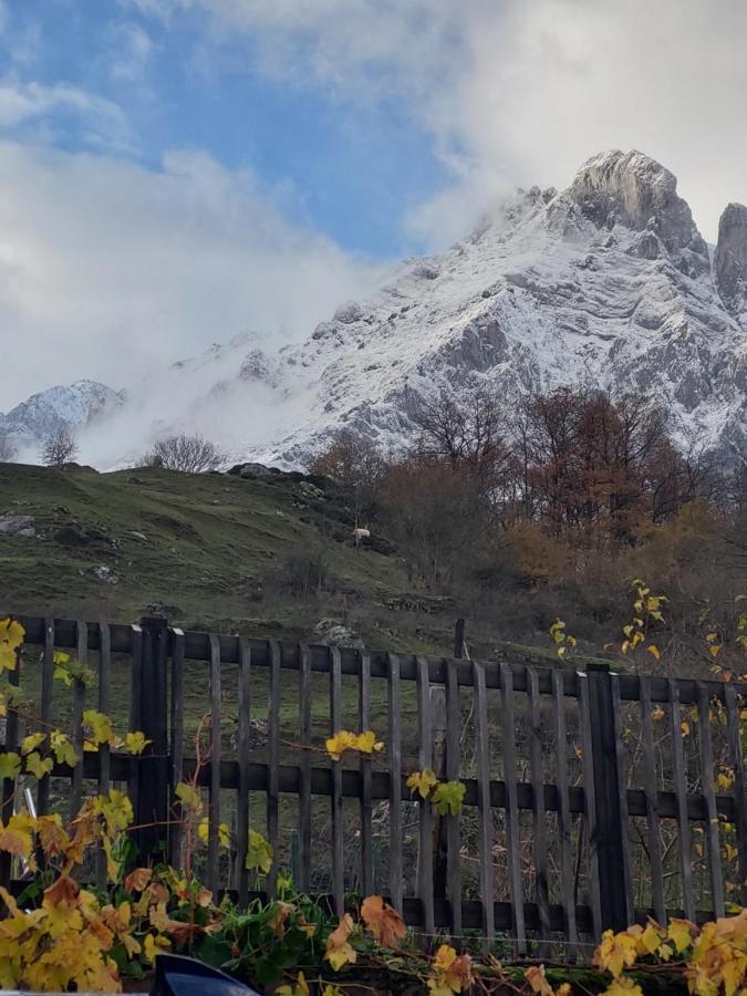 Apartamentos Nevandi Pido Buitenkant foto