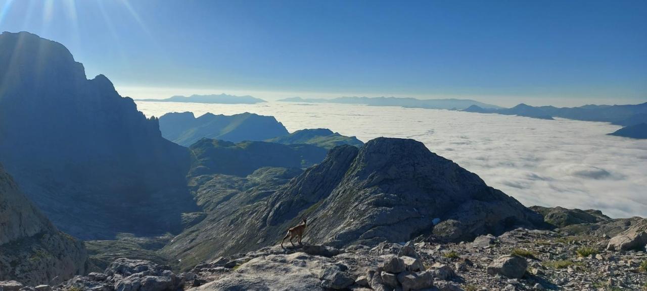 Apartamentos Nevandi Pido Buitenkant foto