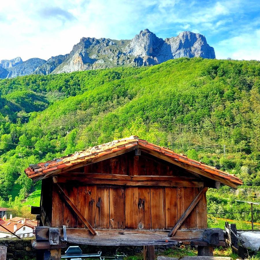 Apartamentos Nevandi Pido Buitenkant foto